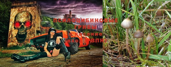 круглые Верхний Тагил